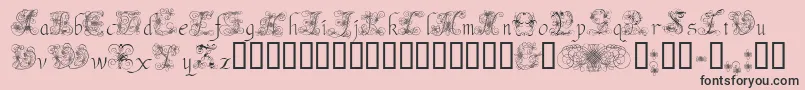 AndradeSwash Font – Black Fonts on Pink Background