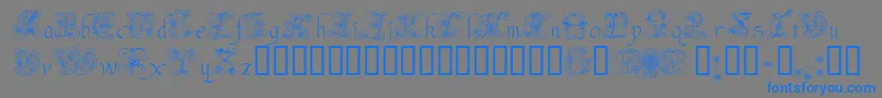 フォントAndradeSwash – 灰色の背景に青い文字