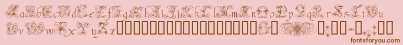 AndradeSwash Font – Brown Fonts on Pink Background