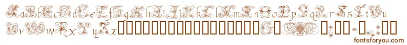 AndradeSwash Font – Brown Fonts