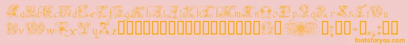 AndradeSwash Font – Orange Fonts on Pink Background