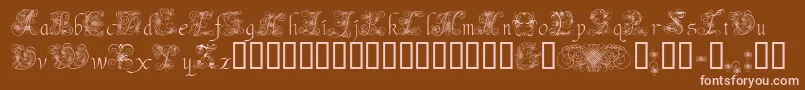 AndradeSwash Font – Pink Fonts on Brown Background