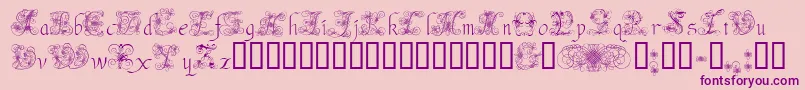 AndradeSwash Font – Purple Fonts on Pink Background