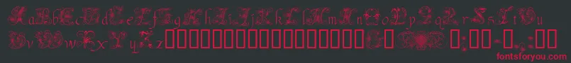 AndradeSwash Font – Red Fonts on Black Background