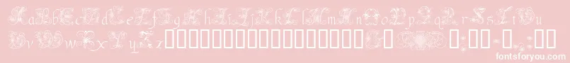 AndradeSwash Font – White Fonts on Pink Background