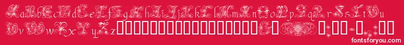 AndradeSwash Font – White Fonts on Red Background