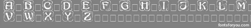 AdageDisplayCapsSsi Font – White Fonts on Gray Background