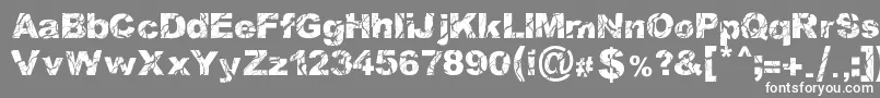 WoodcutterStorm-fontti – valkoiset fontit harmaalla taustalla
