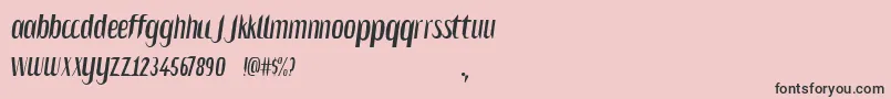 Salvesen-Schriftart – Schwarze Schriften auf rosa Hintergrund