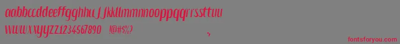 Salvesen Font – Red Fonts on Gray Background