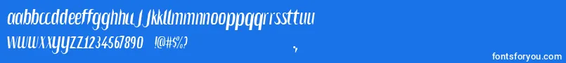 Salvesen-Schriftart – Weiße Schriften auf blauem Hintergrund