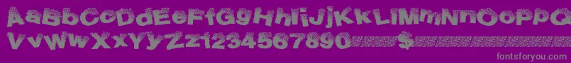 Bublight-Schriftart – Graue Schriften auf violettem Hintergrund