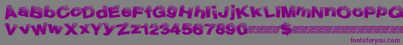 Bublight Font – Purple Fonts on Gray Background