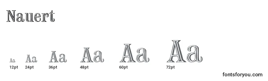 Размеры шрифта Nauert