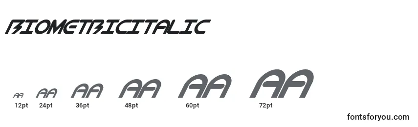 Размеры шрифта BiometricItalic