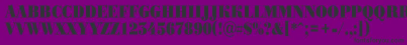 ABodoniortotitulnrBlack Font – Black Fonts on Purple Background