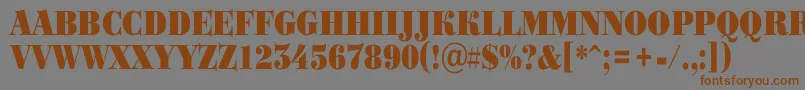 ABodoniortotitulnrBlack Font – Brown Fonts on Gray Background