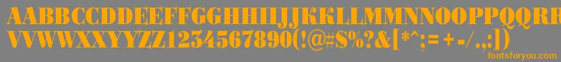 ABodoniortotitulnrBlack Font – Orange Fonts on Gray Background