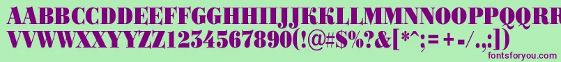 ABodoniortotitulnrBlack Font – Purple Fonts on Green Background