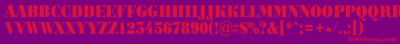 ABodoniortotitulnrBlack Font – Red Fonts on Purple Background