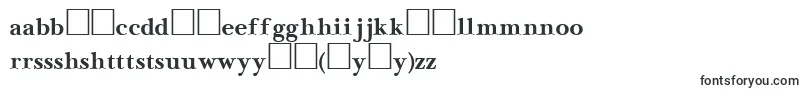 Czcionka NewbaskervilleCyrillicBold – czcionki domowe