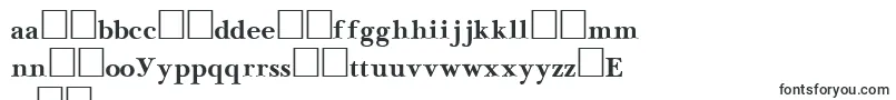 NewbaskervilleCyrillicBold Font – Polish Fonts