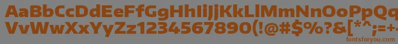 EncodesanswideBlack Font – Brown Fonts on Gray Background