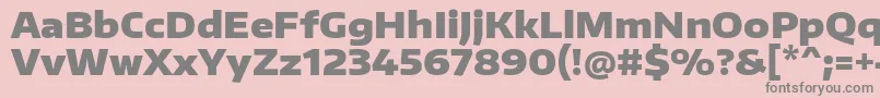 EncodesanswideBlack Font – Gray Fonts on Pink Background