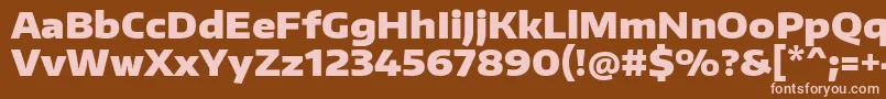 EncodesanswideBlack Font – Pink Fonts on Brown Background
