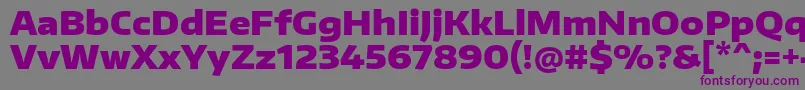 EncodesanswideBlack Font – Purple Fonts on Gray Background
