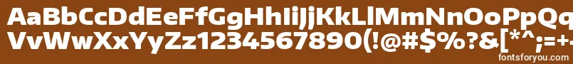 EncodesanswideBlack Font – White Fonts on Brown Background