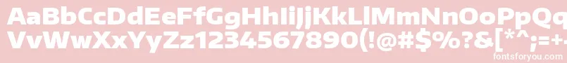 EncodesanswideBlack Font – White Fonts on Pink Background