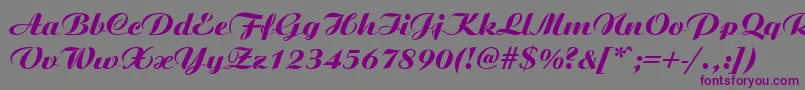 AristonMediumItalic-Schriftart – Violette Schriften auf grauem Hintergrund