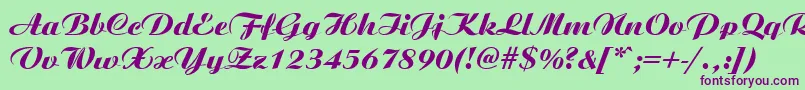 AristonMediumItalic Font – Purple Fonts on Green Background