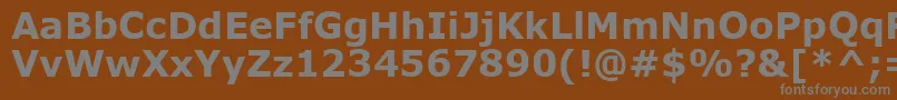 MsReferenceSansSerifРџРѕР»СѓР¶РёСЂРЅС‹Р№ Font – Gray Fonts on Brown Background