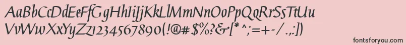 フォントGaiusLtBold – ピンクの背景に黒い文字
