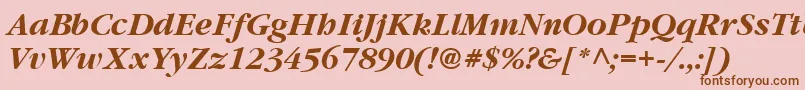 Garrymondrian6Bolditalicsh Font – Brown Fonts on Pink Background
