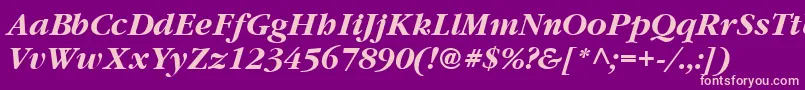 Garrymondrian6Bolditalicsh Font – Pink Fonts on Purple Background