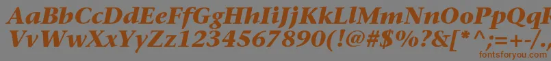 SonetserifcBolditalic Font – Brown Fonts on Gray Background