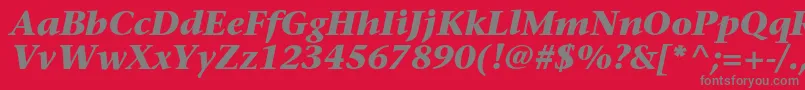 SonetserifcBolditalic Font – Gray Fonts on Red Background