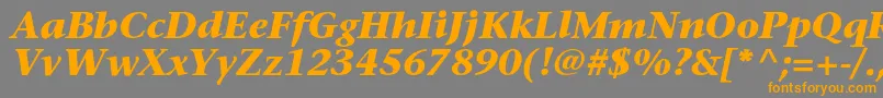 フォントSonetserifcBolditalic – オレンジの文字は灰色の背景にあります。