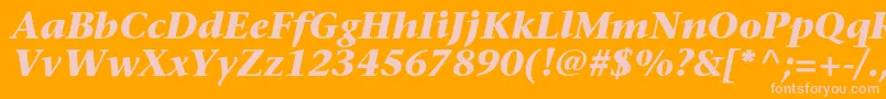 SonetserifcBolditalic Font – Pink Fonts on Orange Background