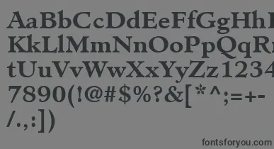 MinisterLtBold font – Black Fonts On Gray Background
