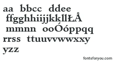 MinisterLtBold font – polish Fonts