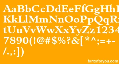 MinisterLtBold font – White Fonts On Orange Background