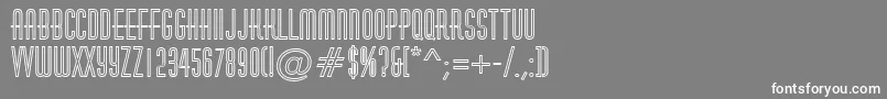 フォントAHuxleyotl – 灰色の背景に白い文字