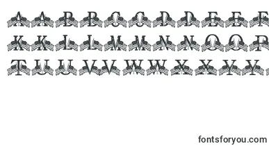 FdFlyingFlags font – bitmap Fonts