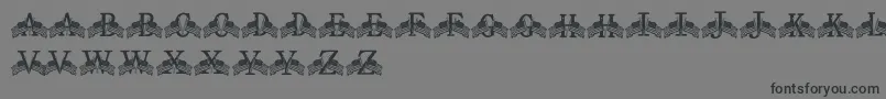 FdFlyingFlags Font – Black Fonts on Gray Background