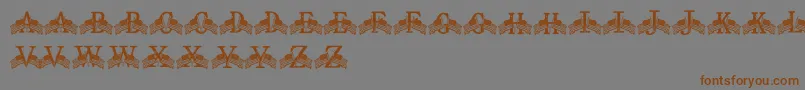 FdFlyingFlags Font – Brown Fonts on Gray Background