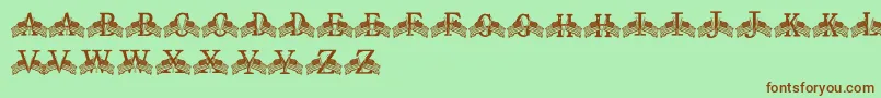 FdFlyingFlags Font – Brown Fonts on Green Background